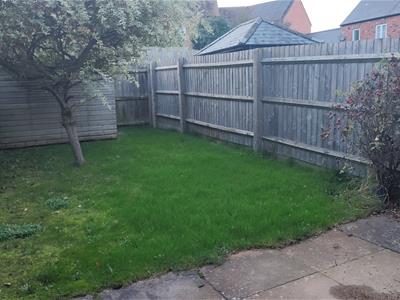 Picture 12